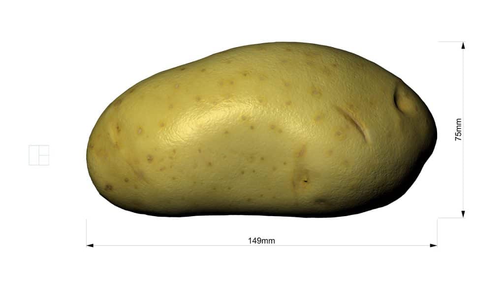 patata-8